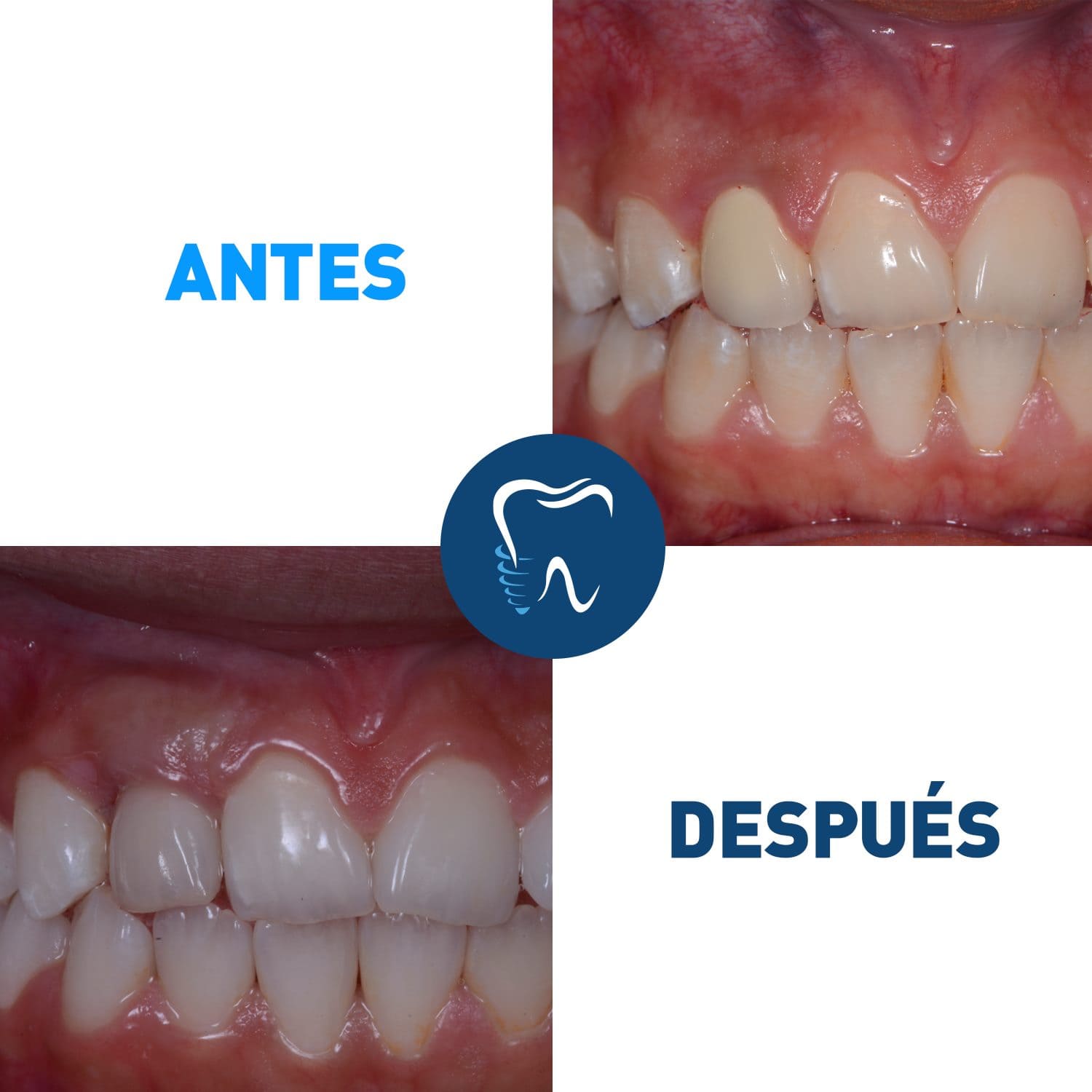 ENE Dent Odontología Especializada