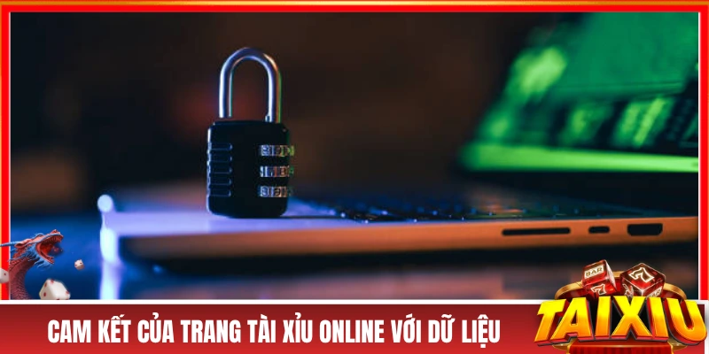 Cam kết của trang tài xỉu online với dữ liệu