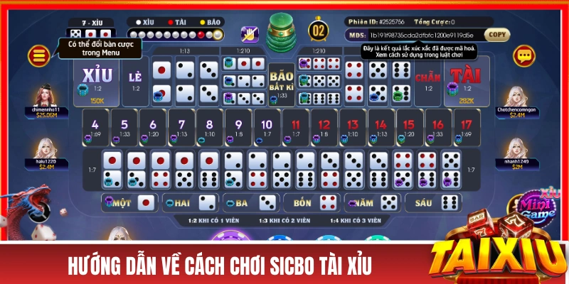 Tài Xỉu Sicbo - “Khô Máu” Với Nhiều Cửa Cược Thưởng Cao Hướng dẫn về cách chơi Sicbo Tài Xỉu